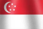 Singaporean national flag